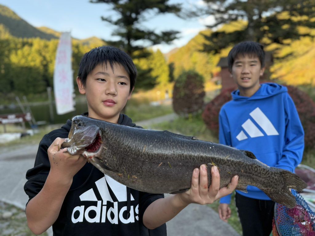 【驚ロック６０ｃｍ】全体