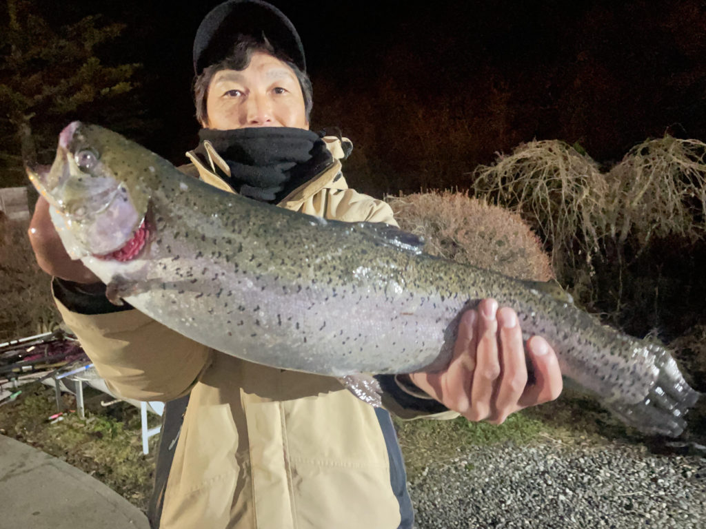 【頂鱒５４ｃｍ】全体