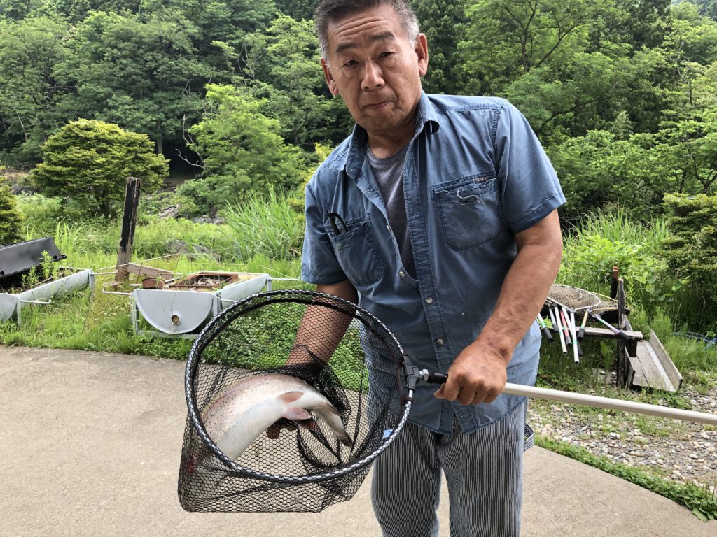 【頂鱒５１ｃｍ】全体