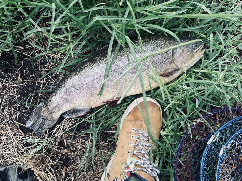 【驚ロック５３ｃｍ】全体