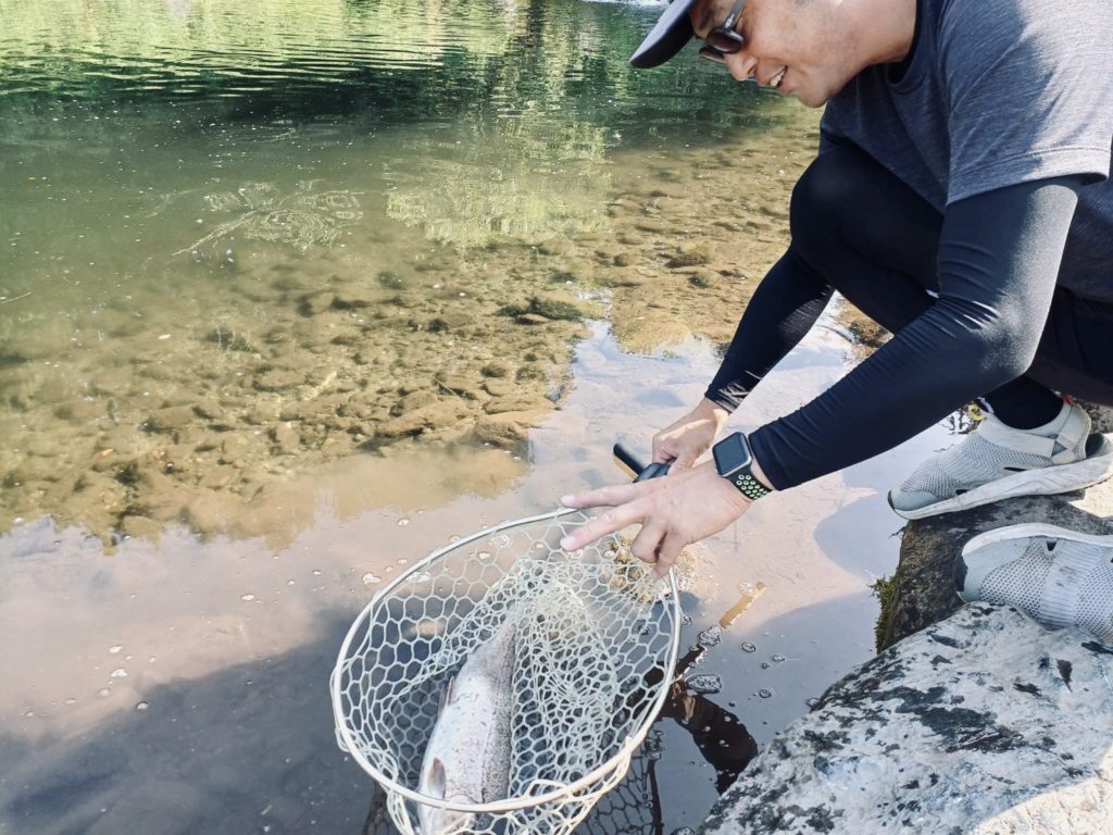 【驚ロック５５ｃｍ】全体