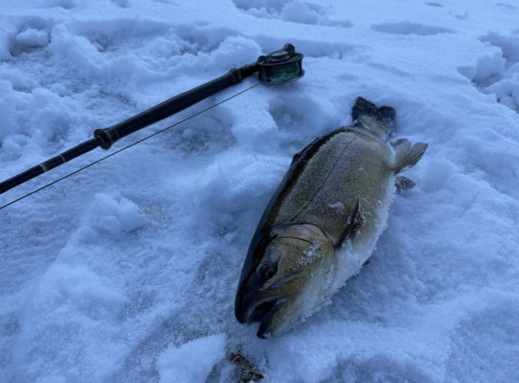 【驚ロック６１ｃｍ】全体