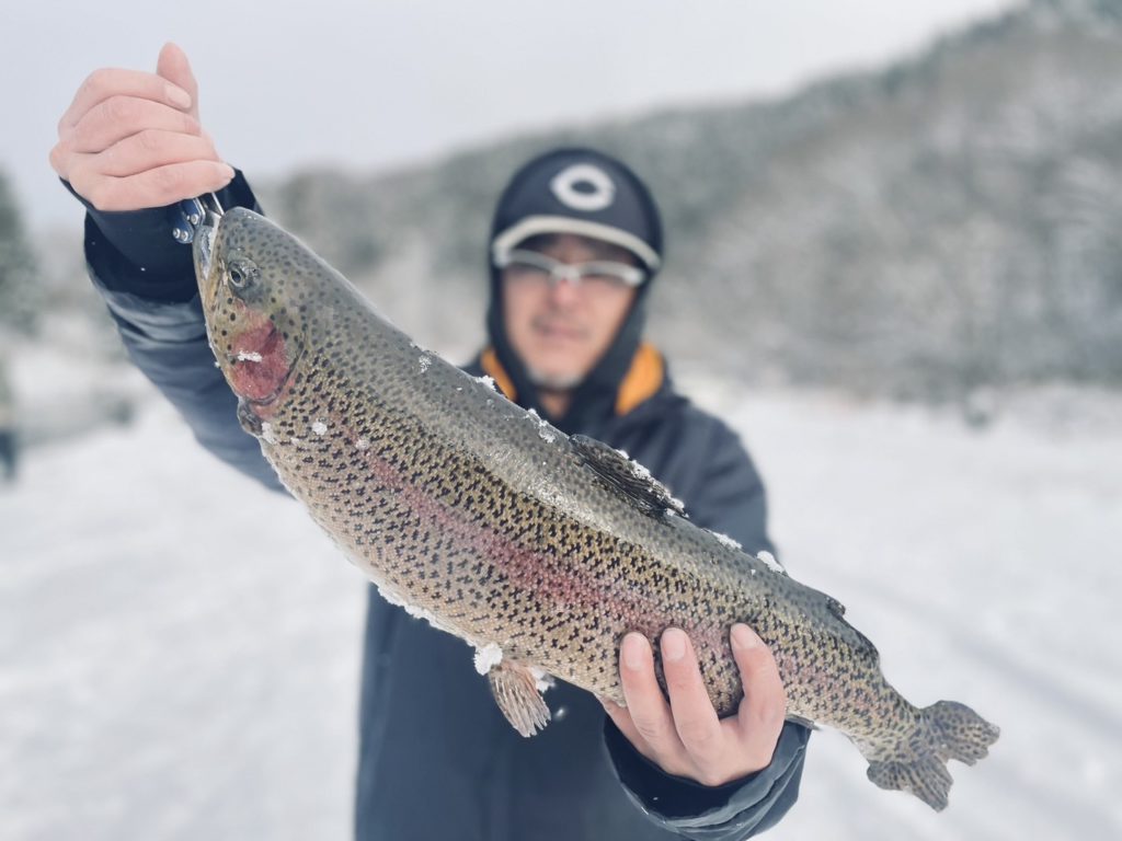 【頂鱒５６ｃｍ】全体