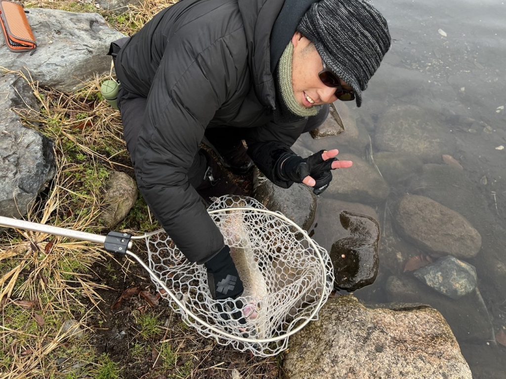 【頂鱒６２ｃｍ】全体