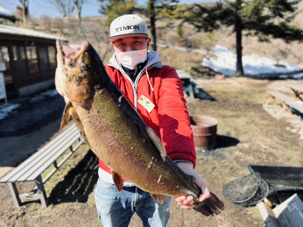 【驚ロック７０ｃｍ】全体