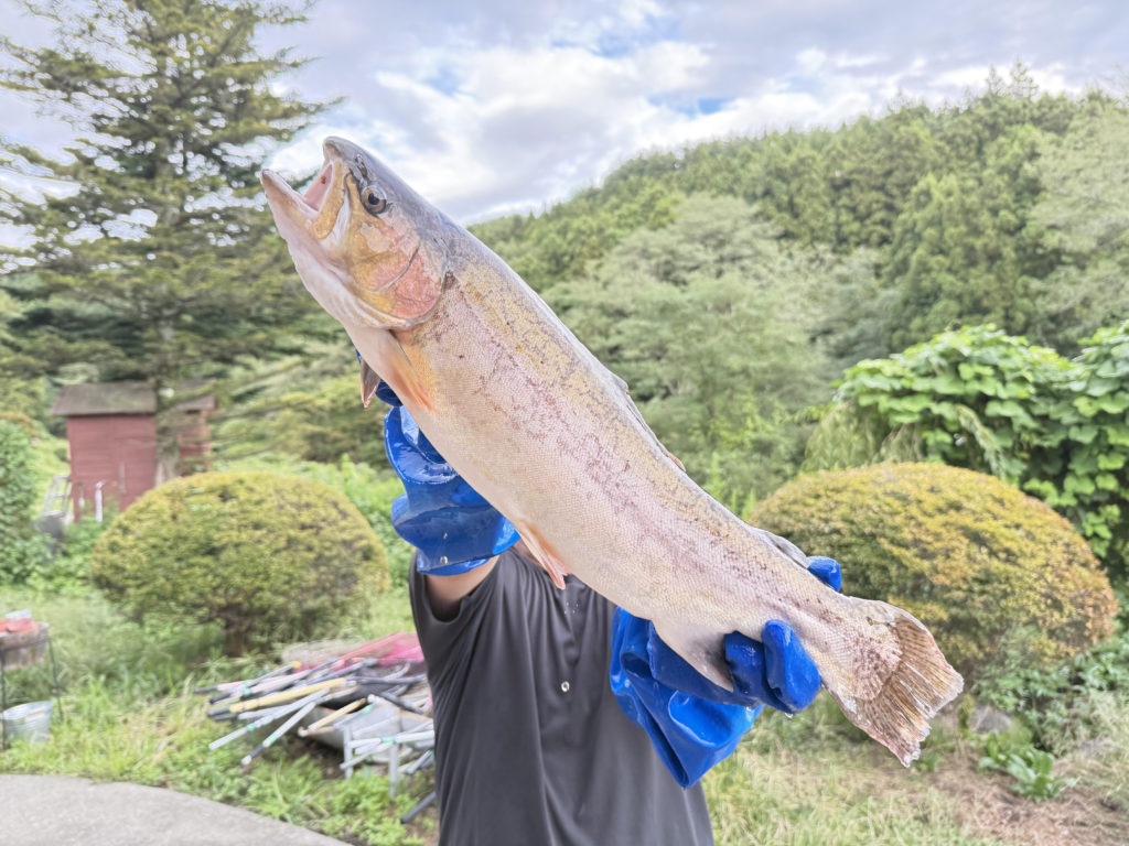 【驚ロック５７ｃｍ】全体