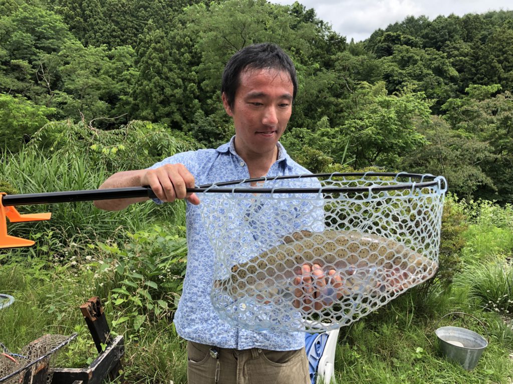 【頂鱒５０ｃｍ】全体
