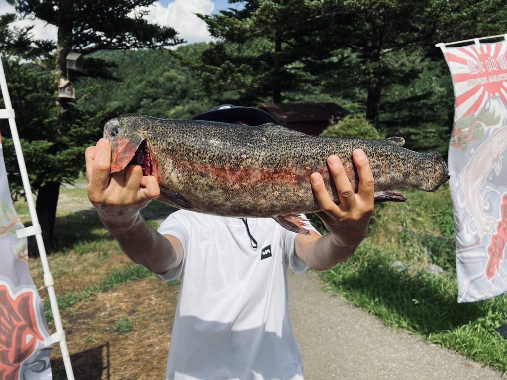 【頂鱒５８ｃｍ】全体