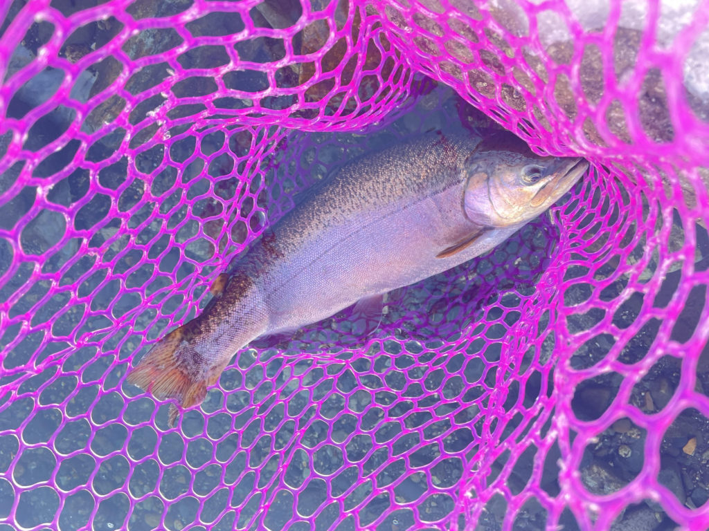 【驚ロック５０ｃｍ】全体