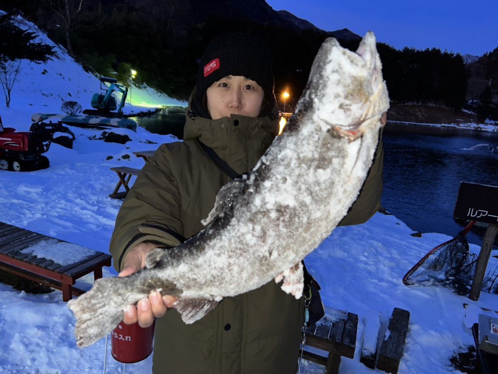 【驚ロック５４ｃｍ】全体