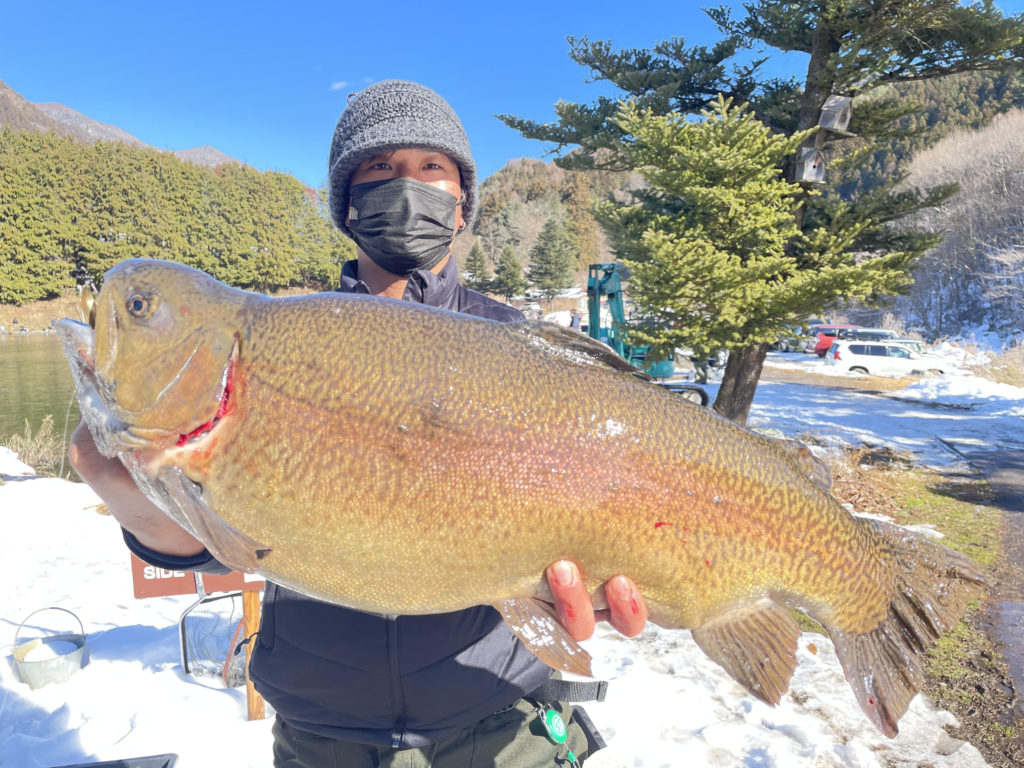 【驚ロック７２ｃｍ】全体