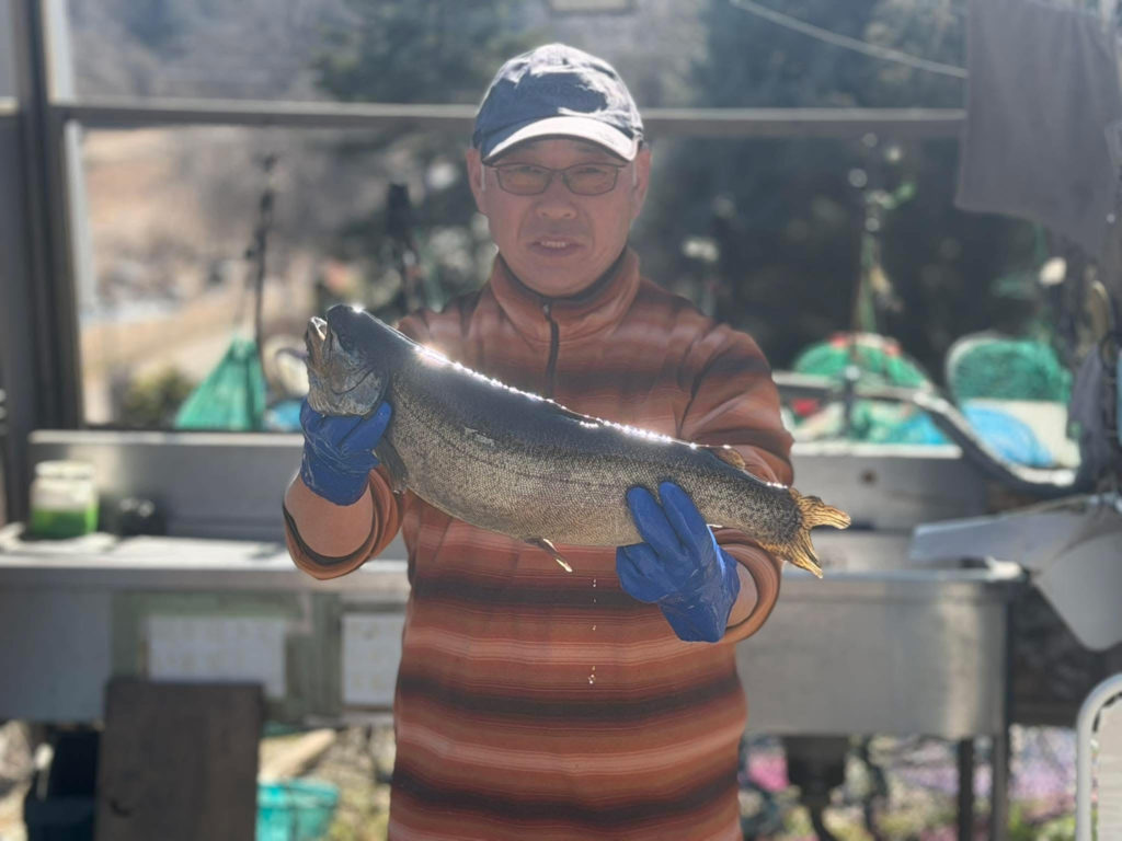 【驚ロック５３ｃｍ】全体