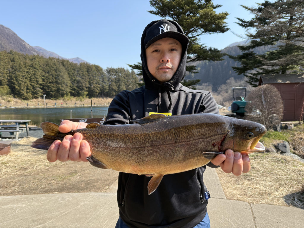 【驚ロック５２ｃｍ】全体