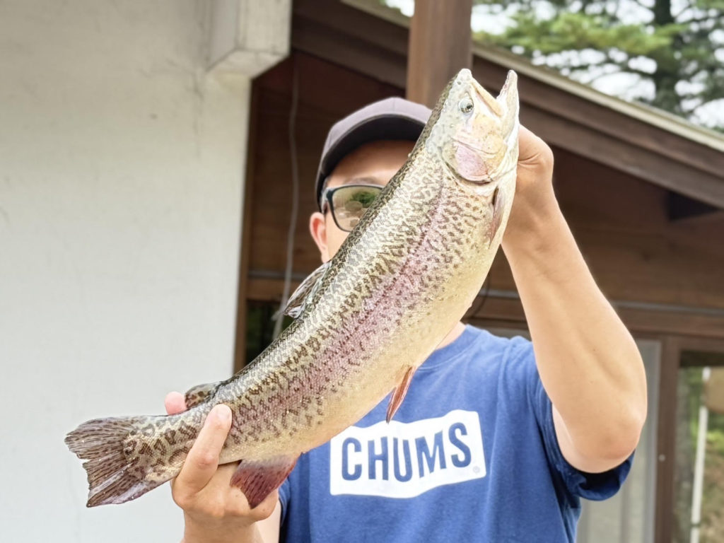 【驚ロック５３ｃｍ】全体