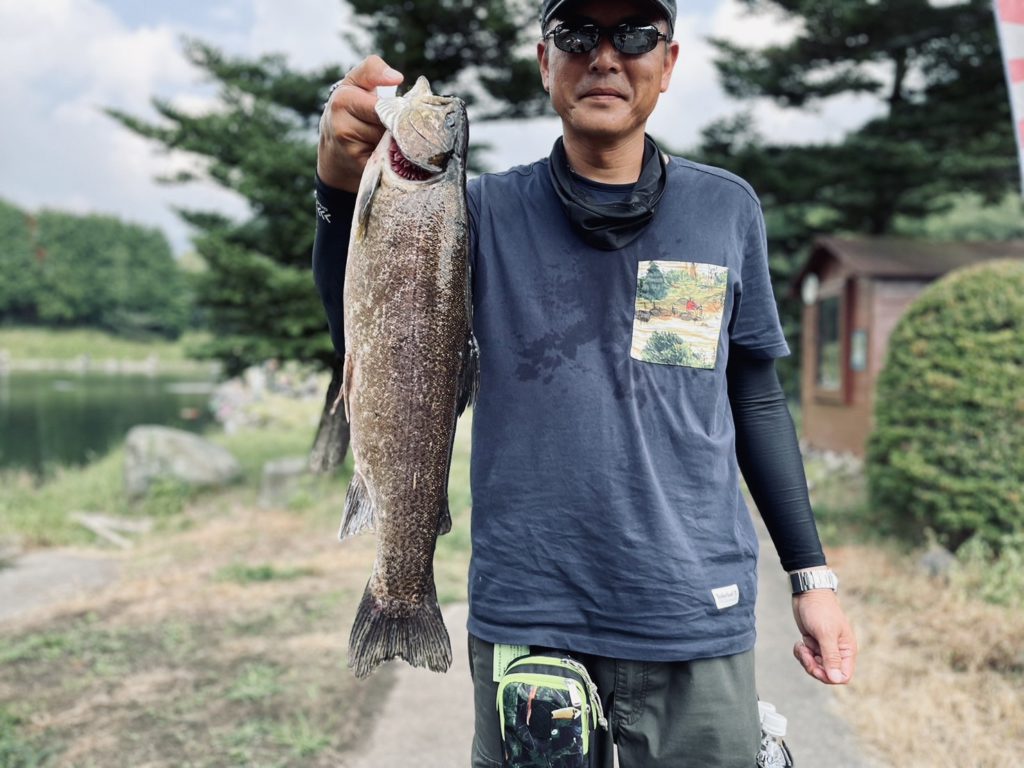 【驚ロック５５ｃｍ】全体