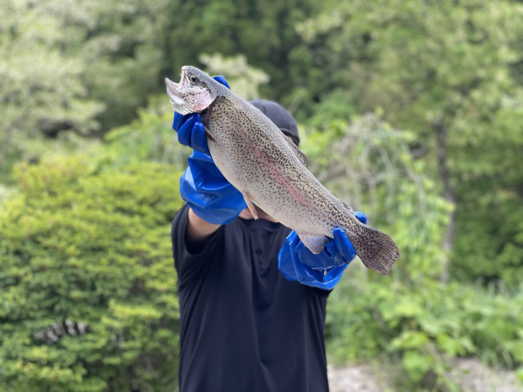 【頂鱒５２ｃｍ】全体