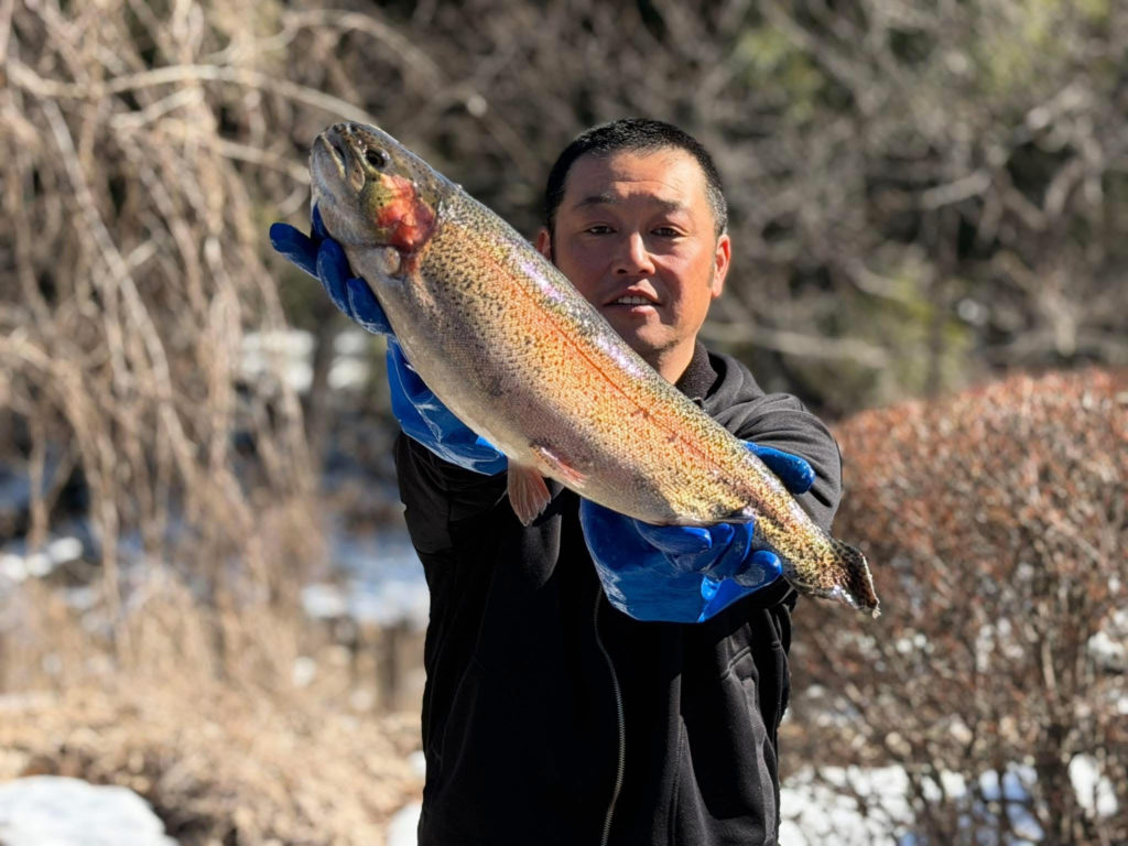 【頂鱒５７ｃｍ】全体