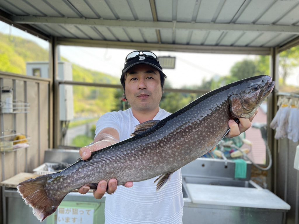 【大岩魚６０ｃｍ】全体