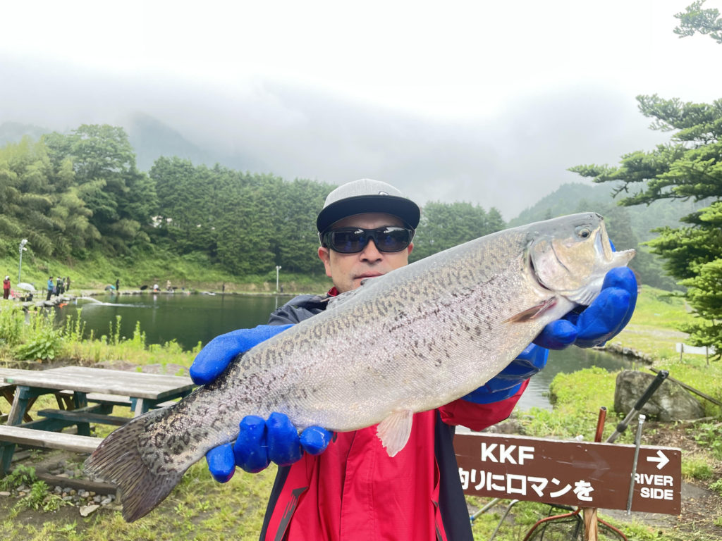 【驚ロック５０ｃｍ】全体