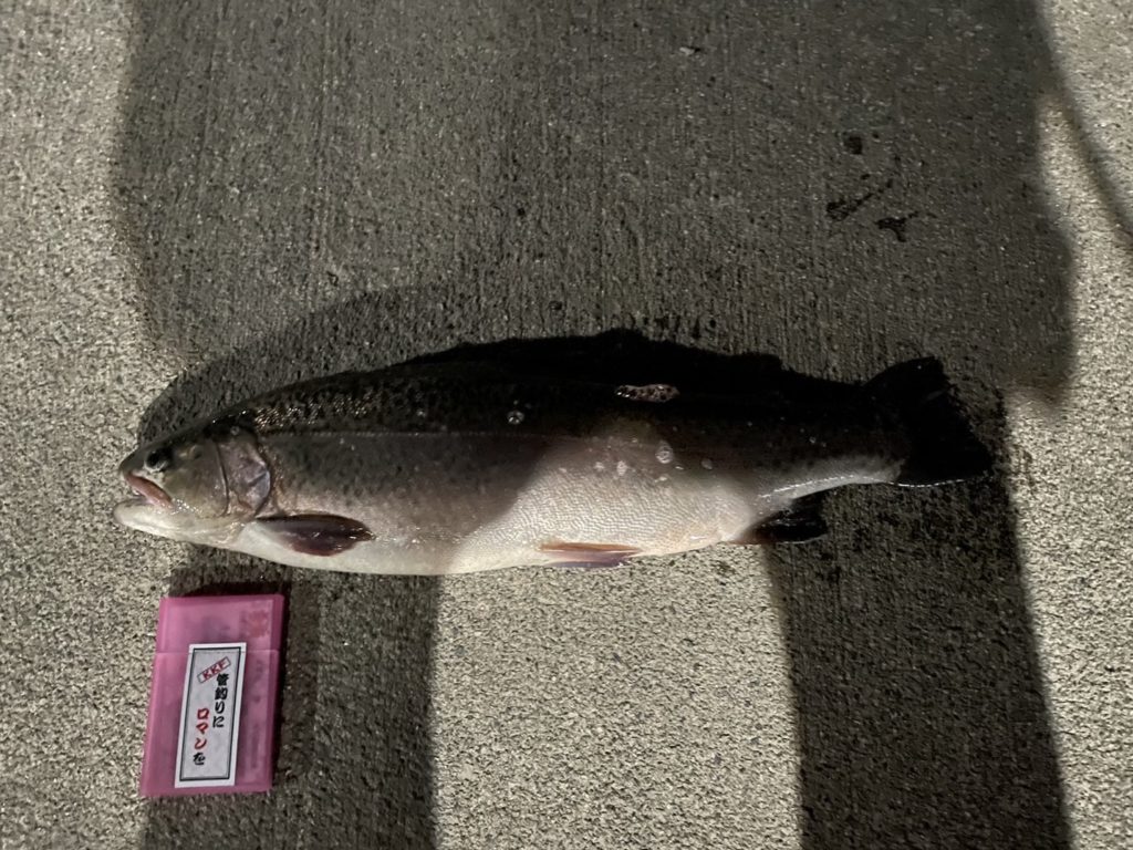 【驚ロック５０ｃｍ】全体