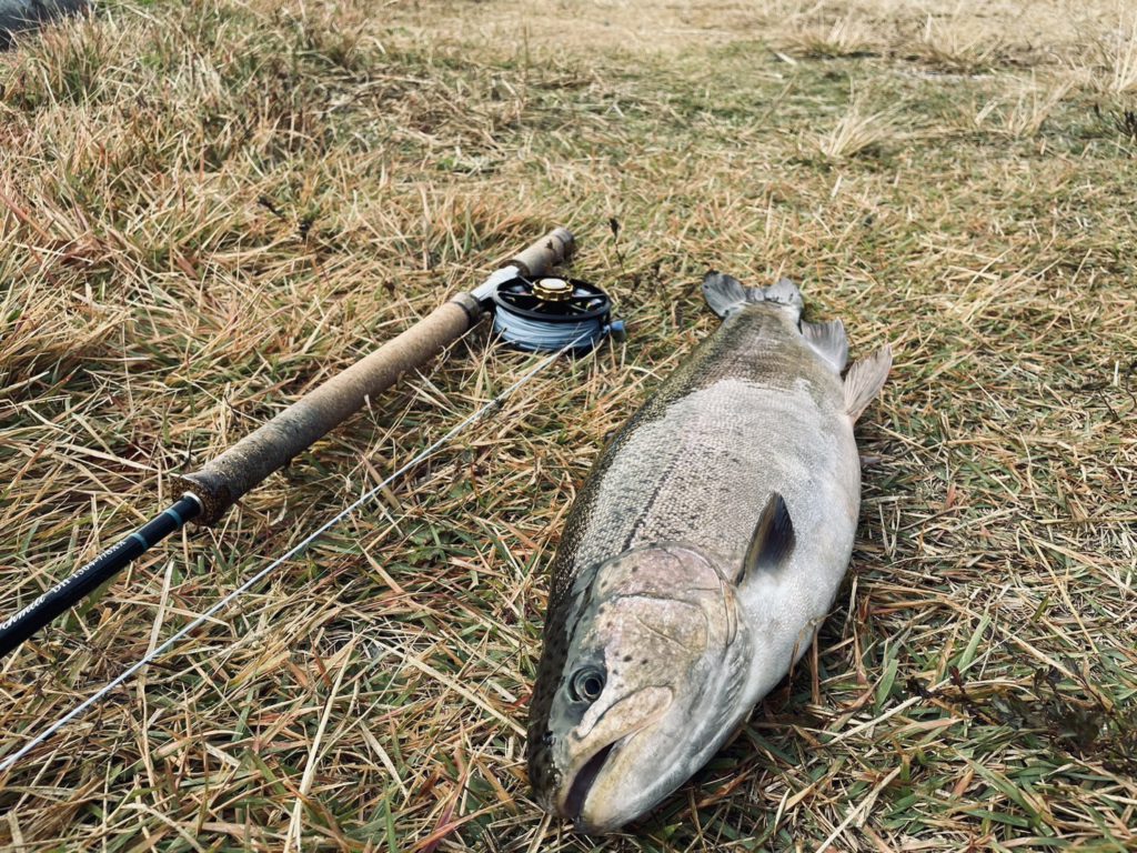 【驚ロック５９ｃｍ】全体