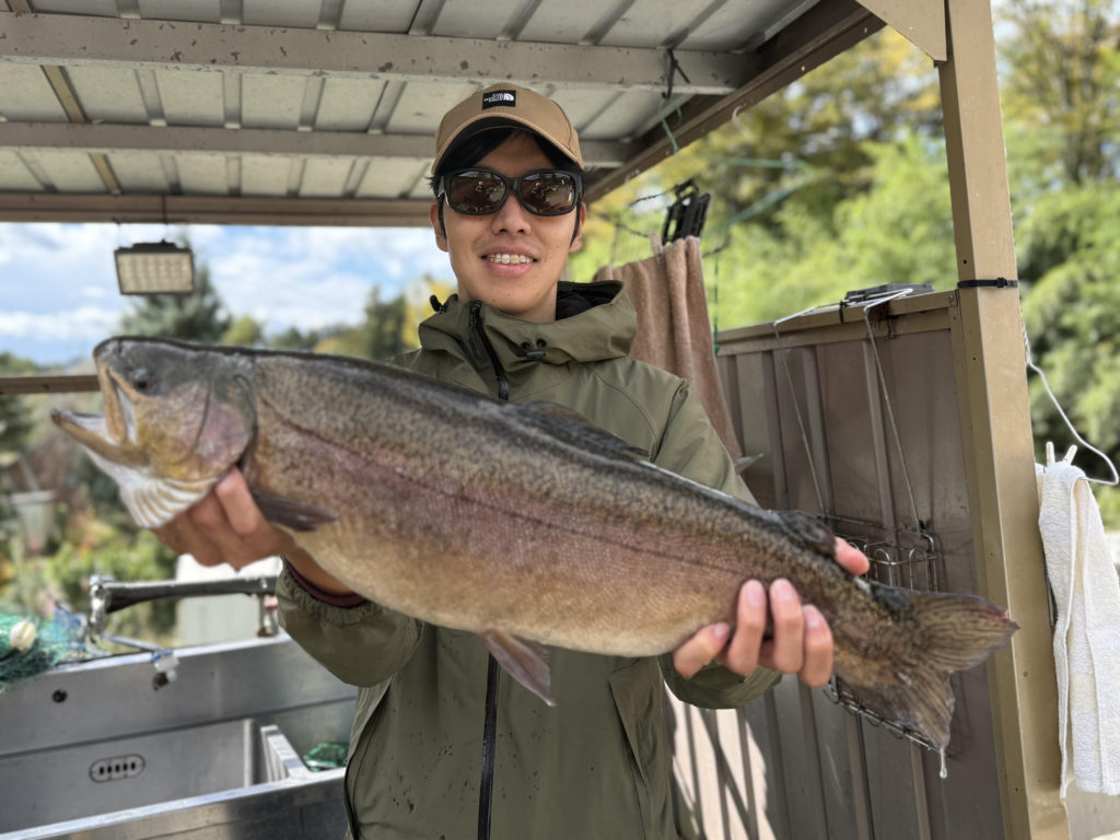 【驚ロック６１ｃｍ】全体