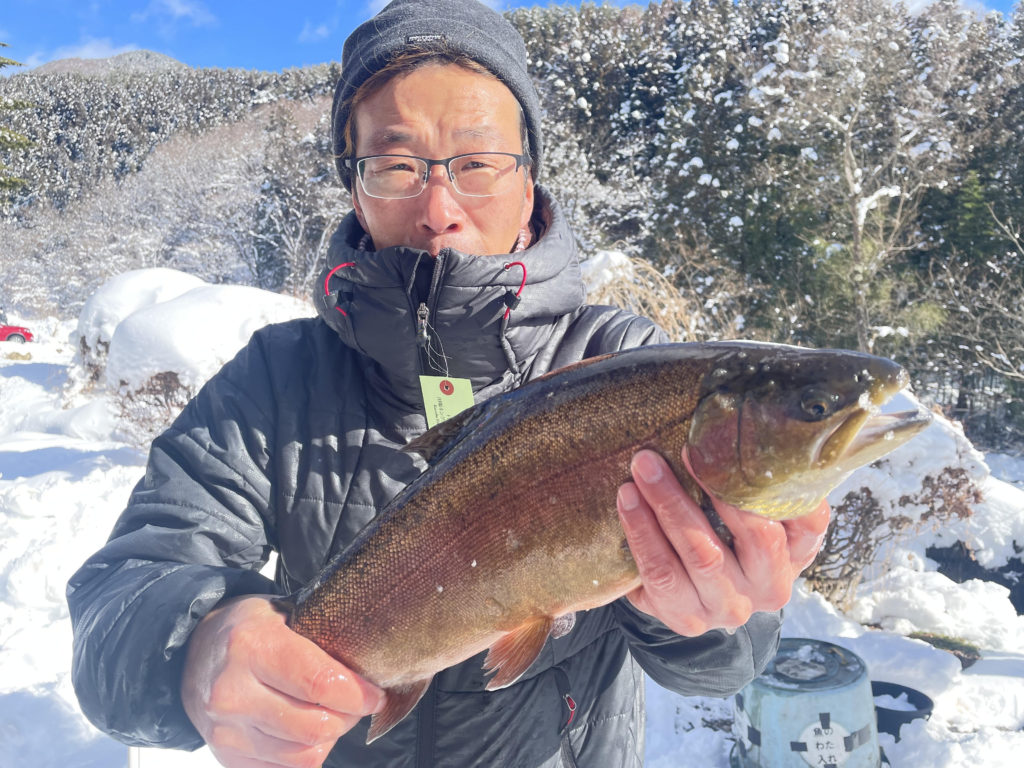 【驚ロック５１ｃｍ】全体