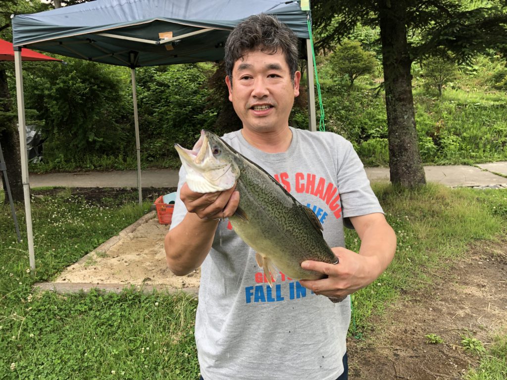 【ロックトラウト５２ｃｍ】全体