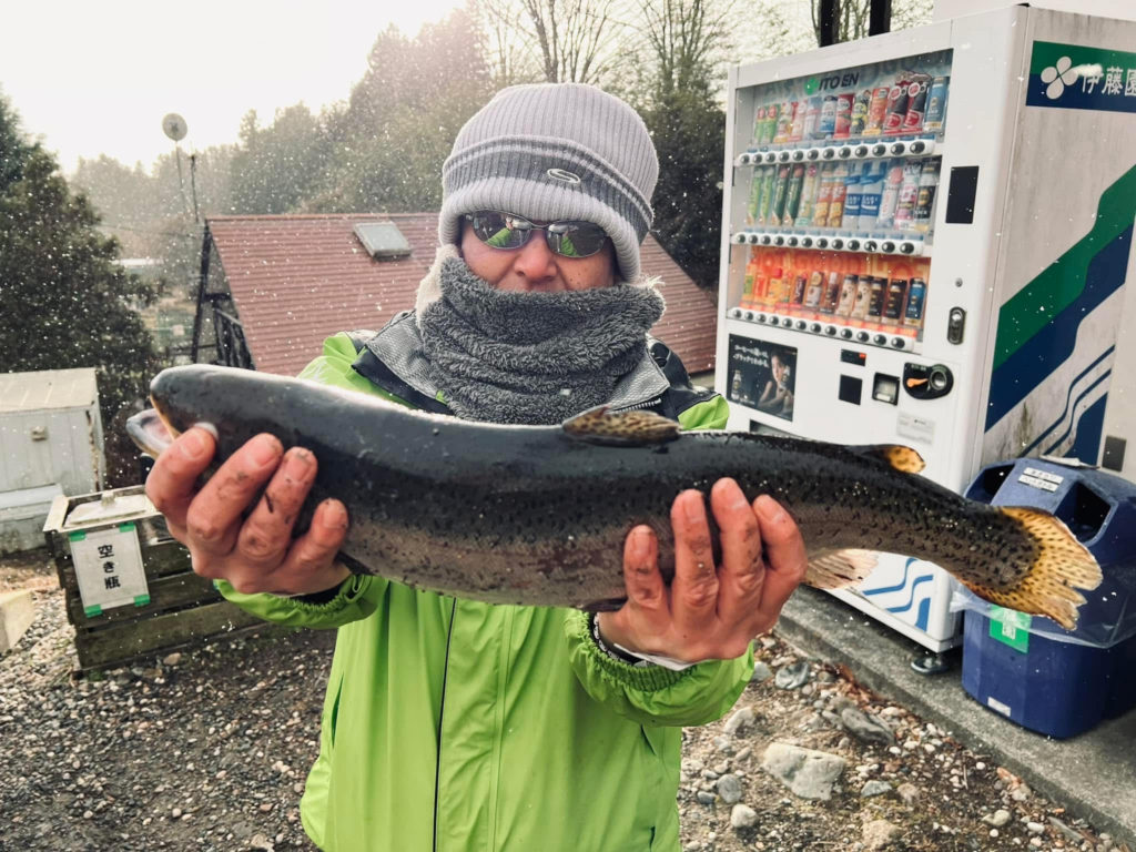 【頂鱒５２ｃｍ】全体