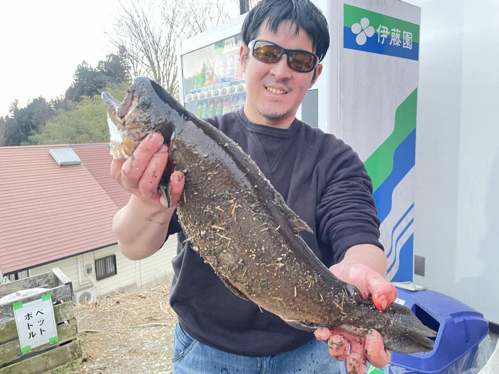 【驚ロック５０ｃｍ】全体