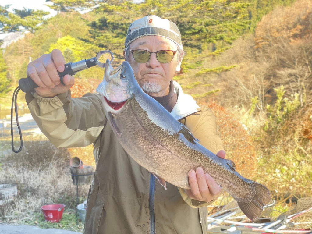 【驚ロック５５ｃｍ】全体