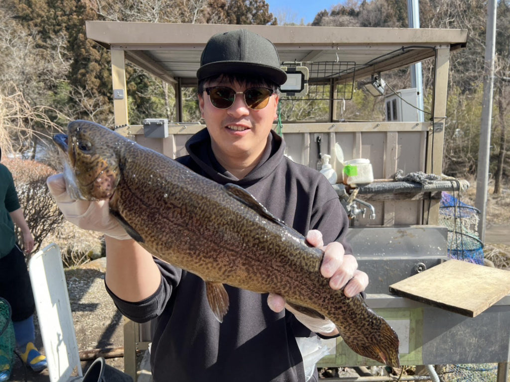 【驚ロック５６ｃｍ】全体