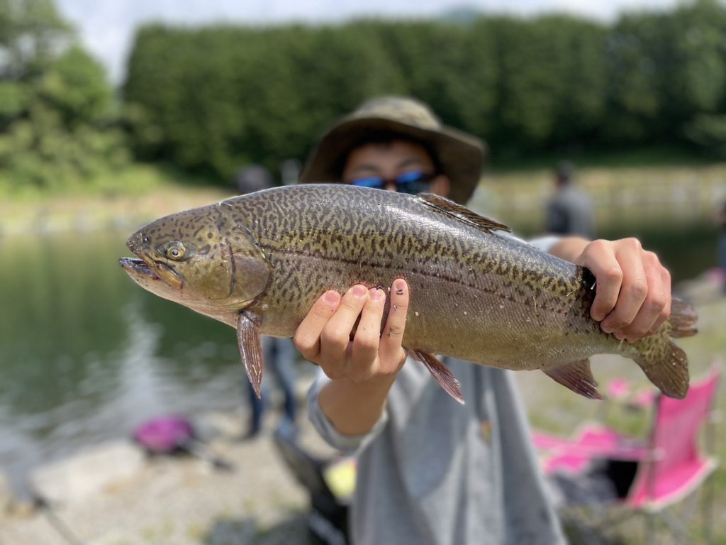 【驚ロック５２ｃｍ】全体