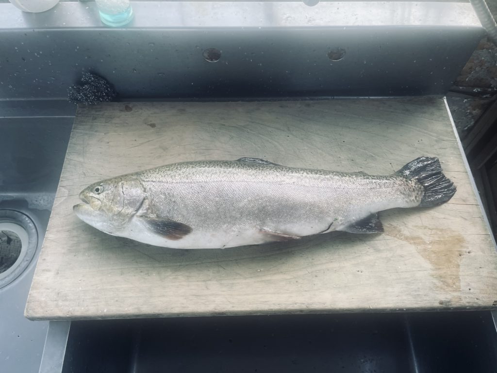 【驚ロック５６ｃｍ】全体