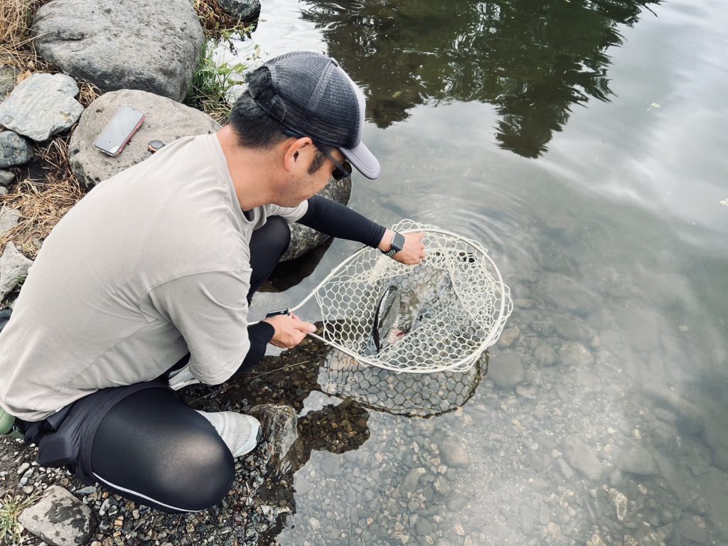 【頂鱒５５ｃｍ】全体