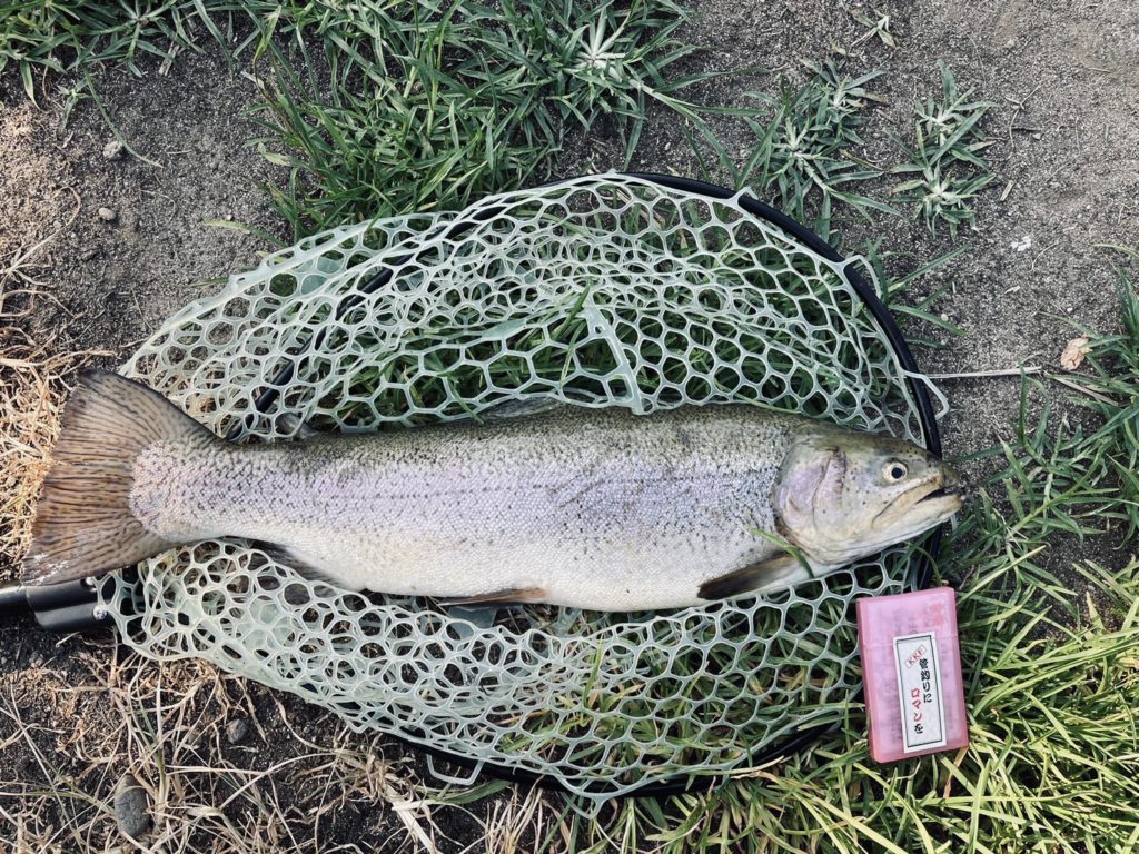 【驚ロック５８ｃｍ】全体