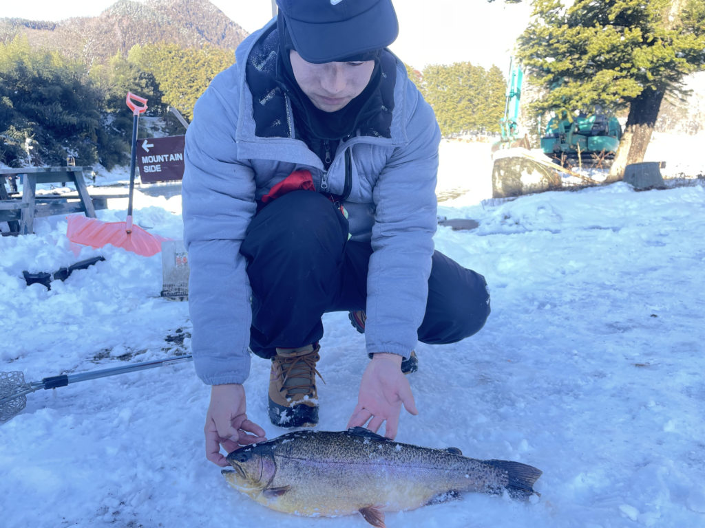 【驚ロック５５ｃｍ】全体