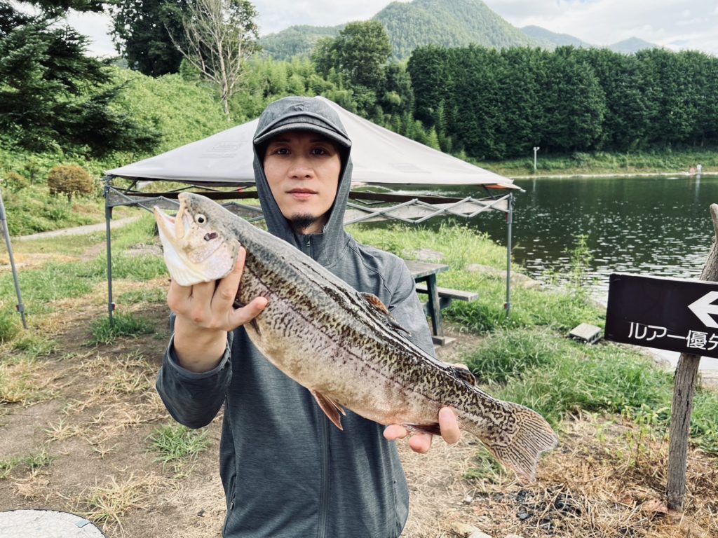 【驚ロック５０ｃｍ】全体