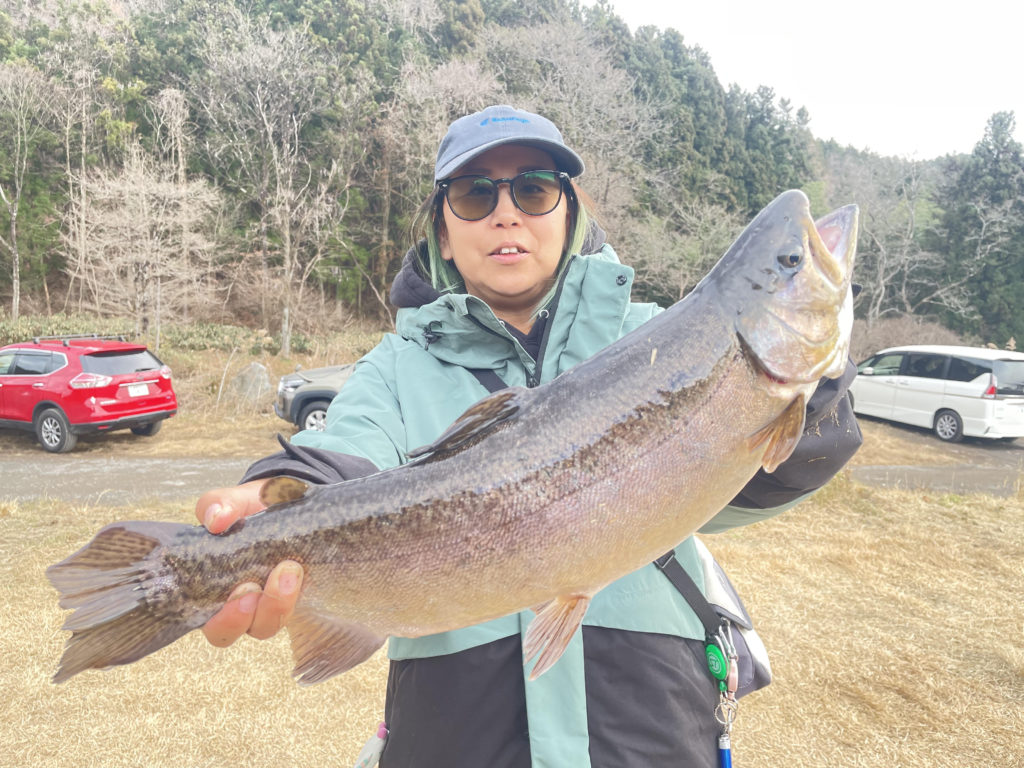 【驚ロック５１ｃｍ】全体