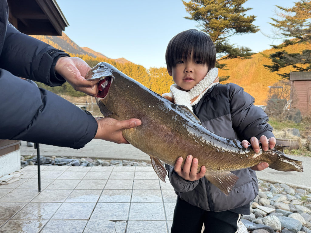 【驚ロック６８ｃｍ】全体