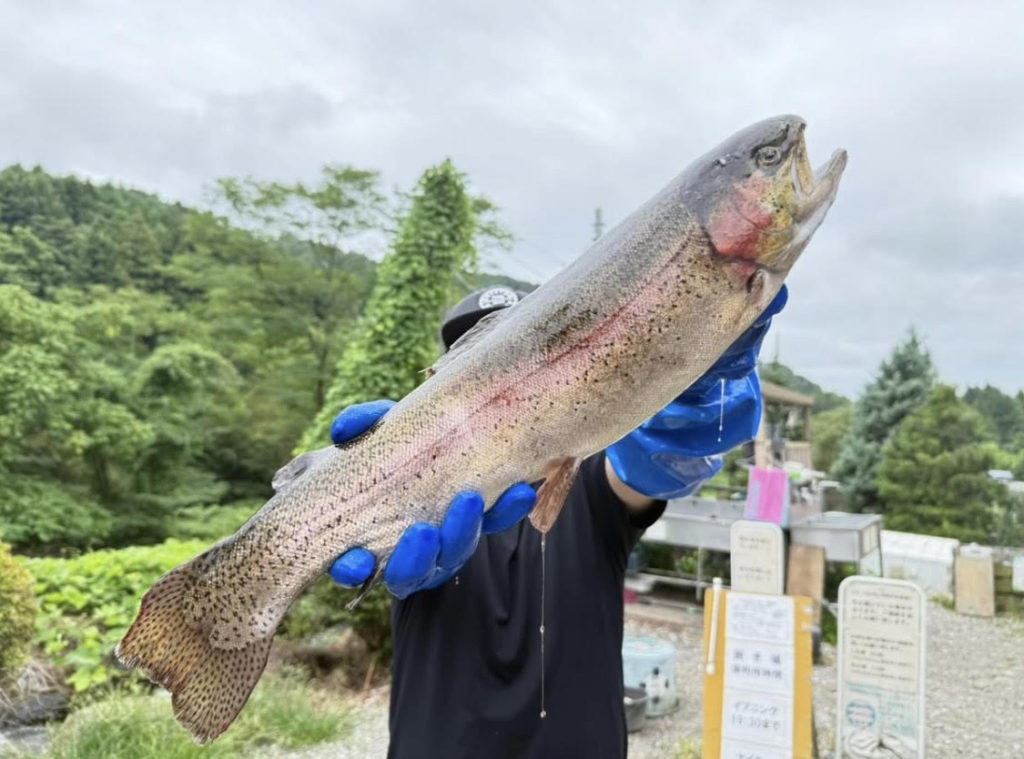 【頂鱒５７ｃｍ】全体