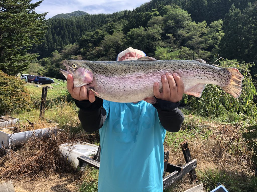 【頂鱒５５ｃｍ】全体