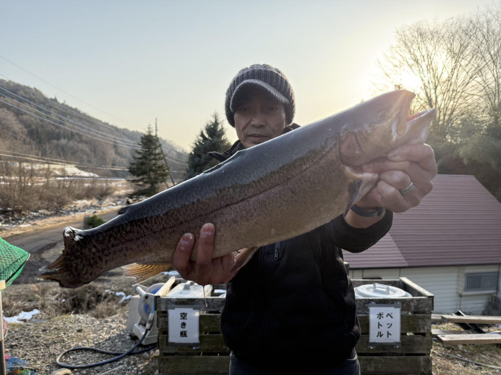 【驚ロック６０ｃｍ】全体