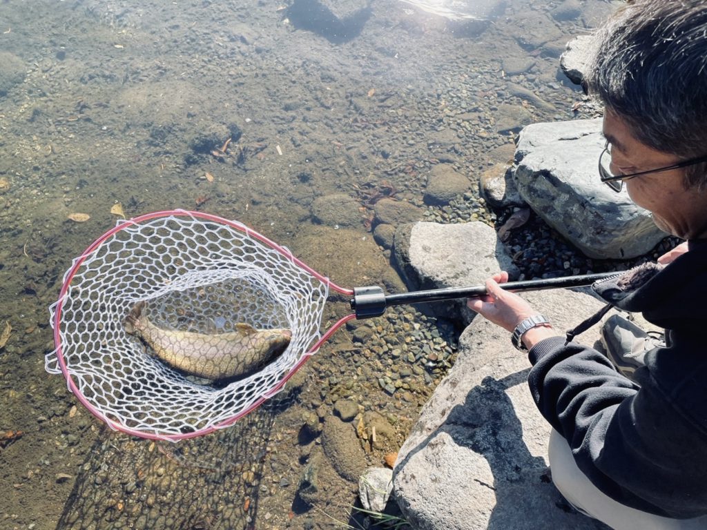 【驚ロック５１ｃｍ】全体