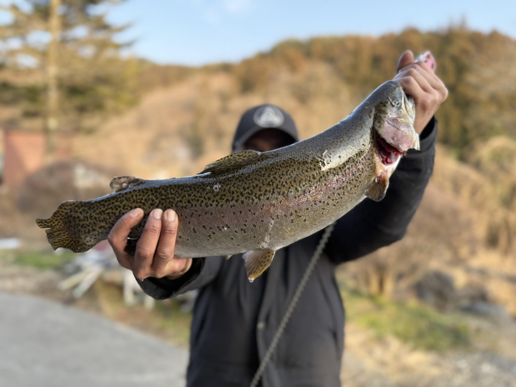 【頂鱒５２ｃｍ】全体