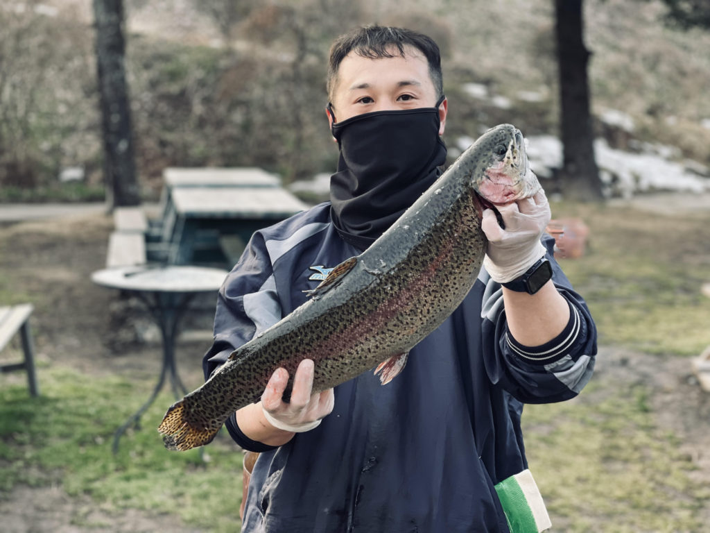 【頂鱒５７ｃｍ】全体