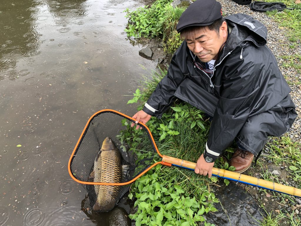 【鯉７０ｃｍオーバー】全体