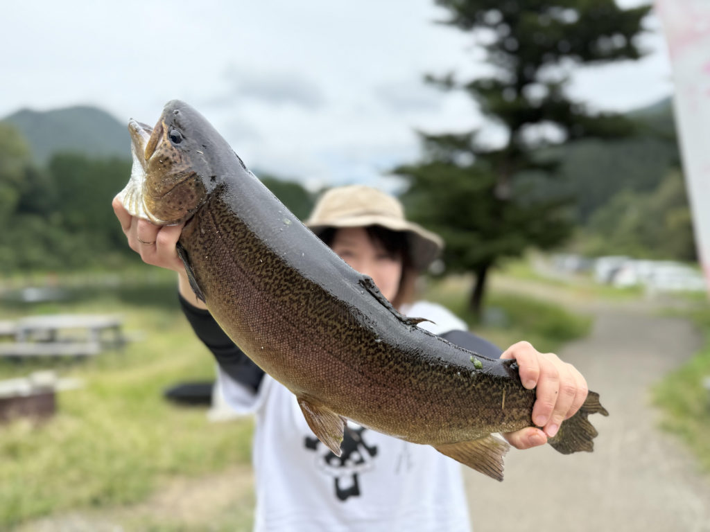 【驚ロック６１ｃｍ】全体