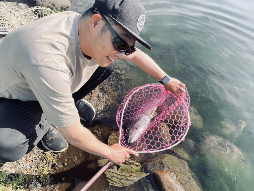 【頂鱒６３ｃｍ】全体