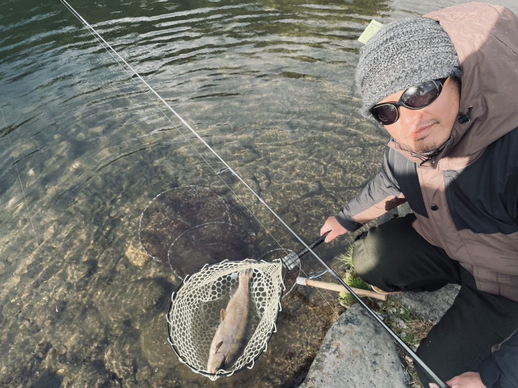 【驚ロック５５ｃｍ】全体